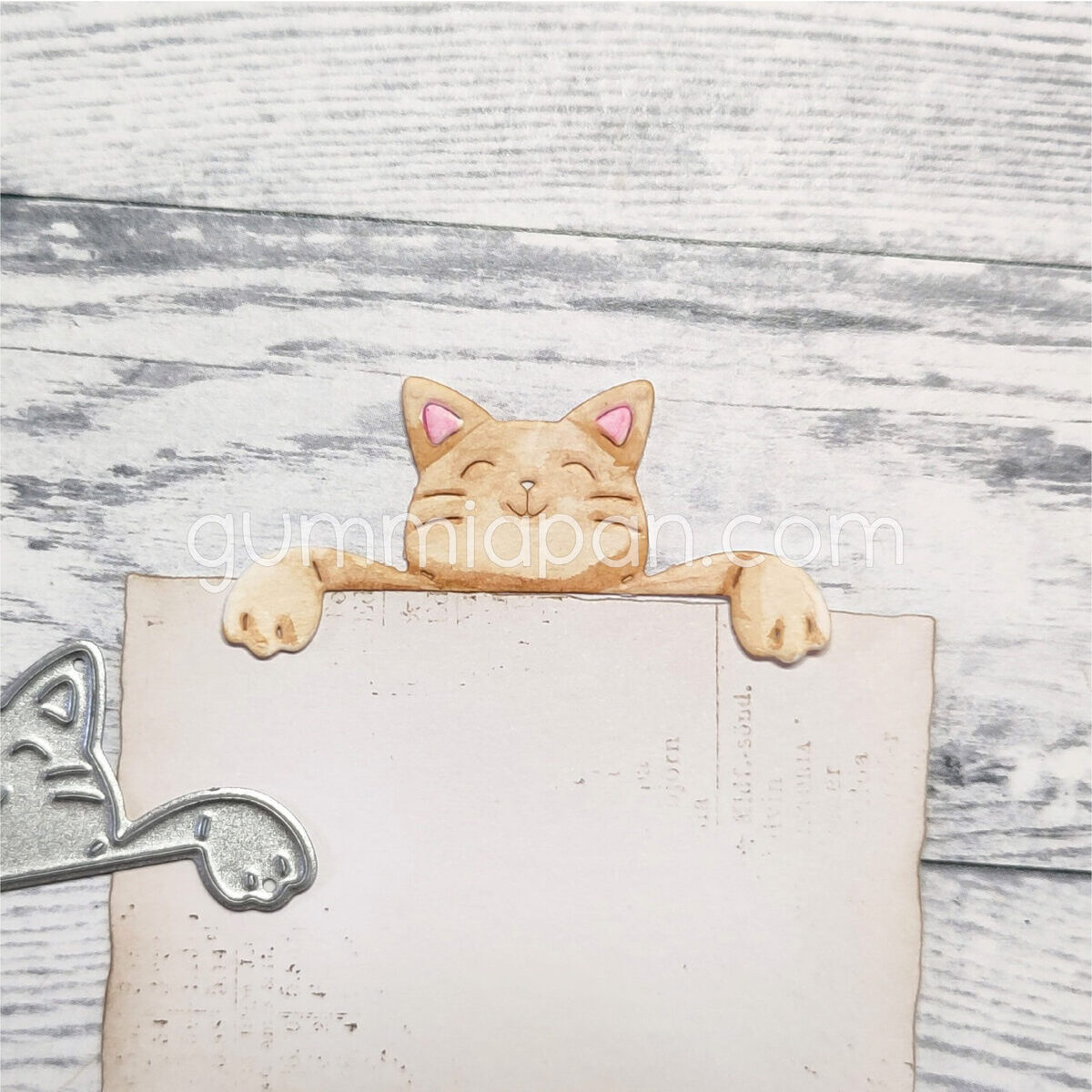 Stanze Peekaboo Cat