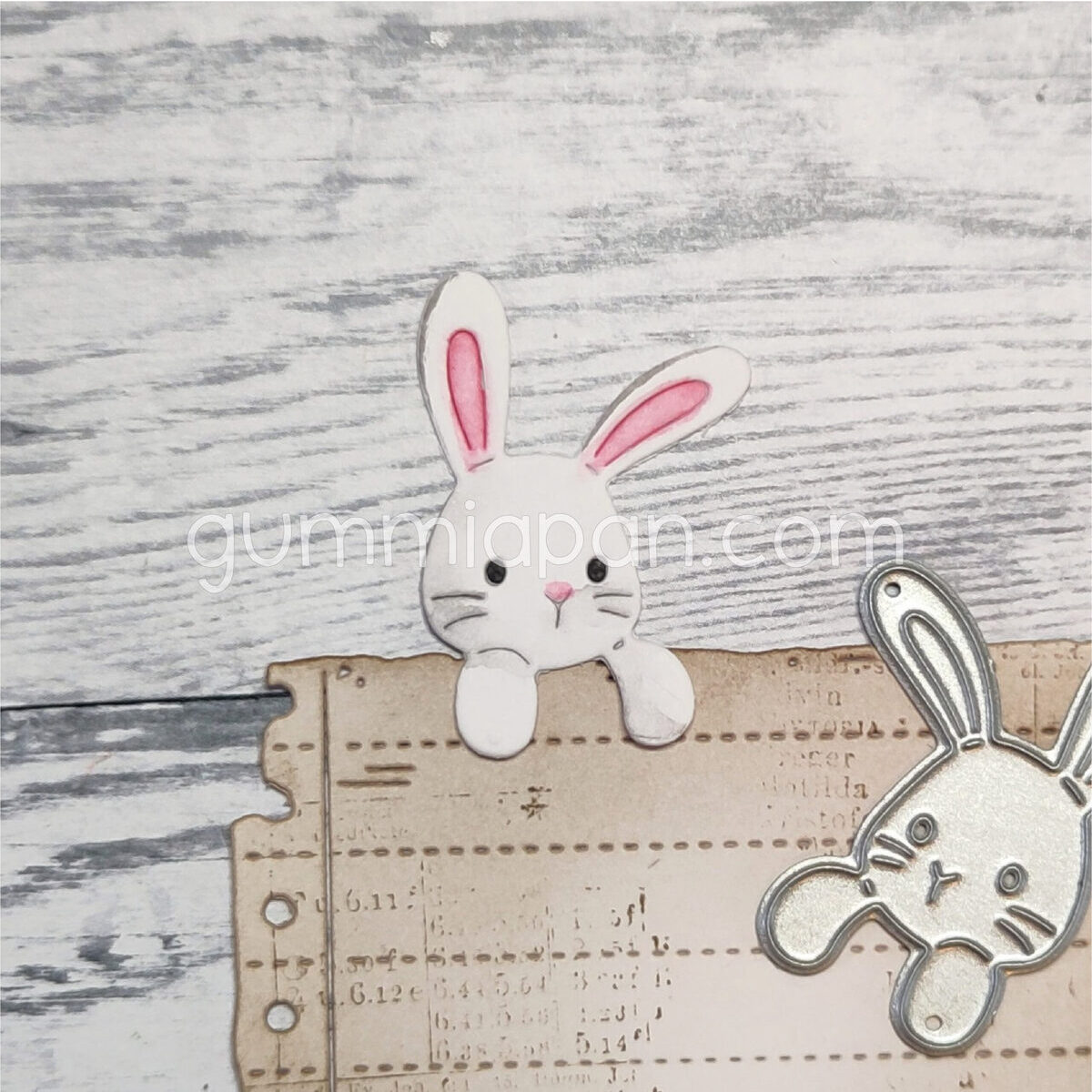 Stanze Peekaboo Bunny
