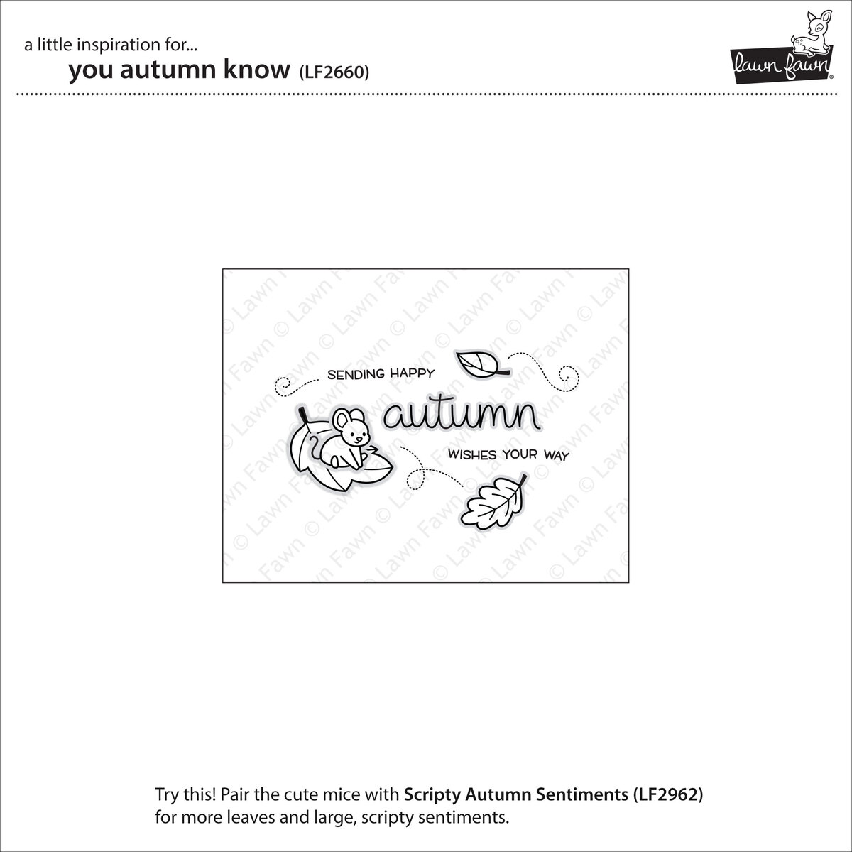lawsm-2660CWv1RDWEPSQCy lawsm-2660_p4