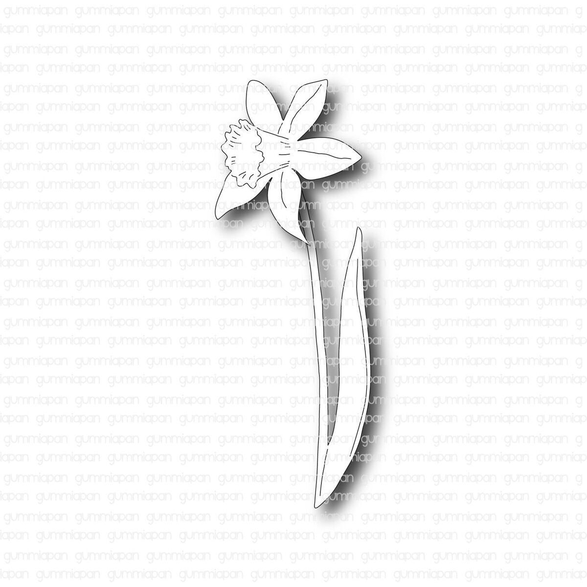 Stanze Daffodil