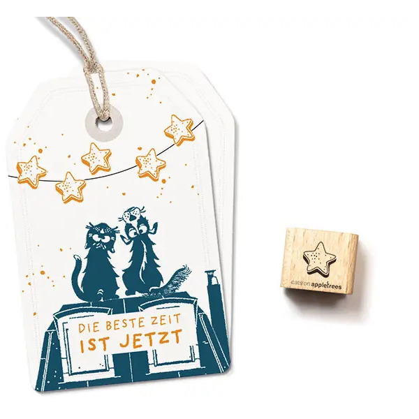 Ministempel Zimtstern