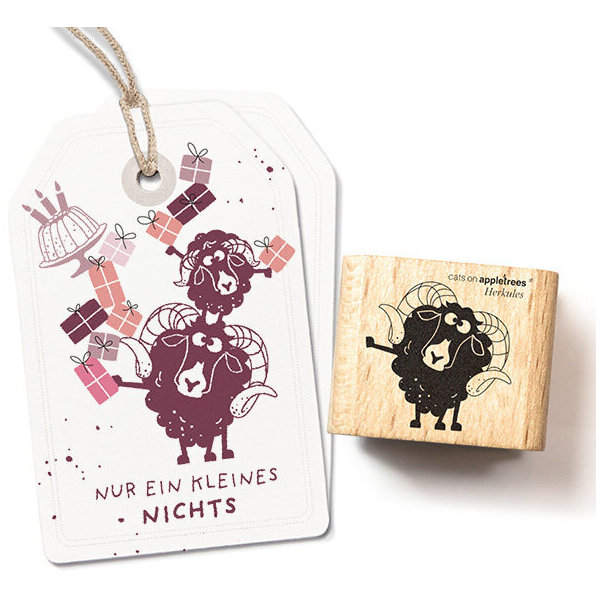 Quessant Schaf Herkules