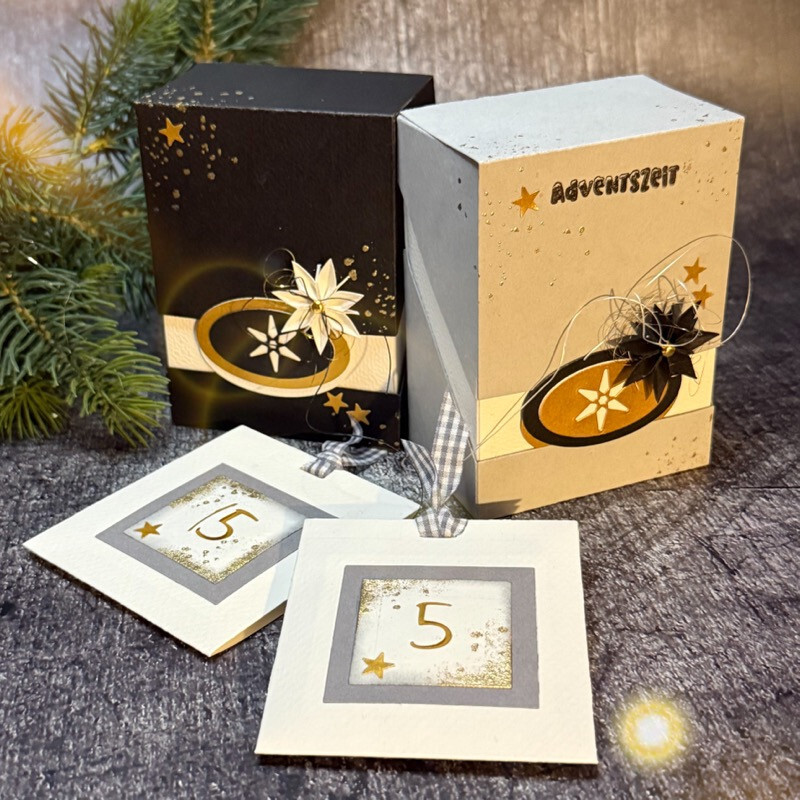 Stanze Klappbox groß Stanze Klappbox groß