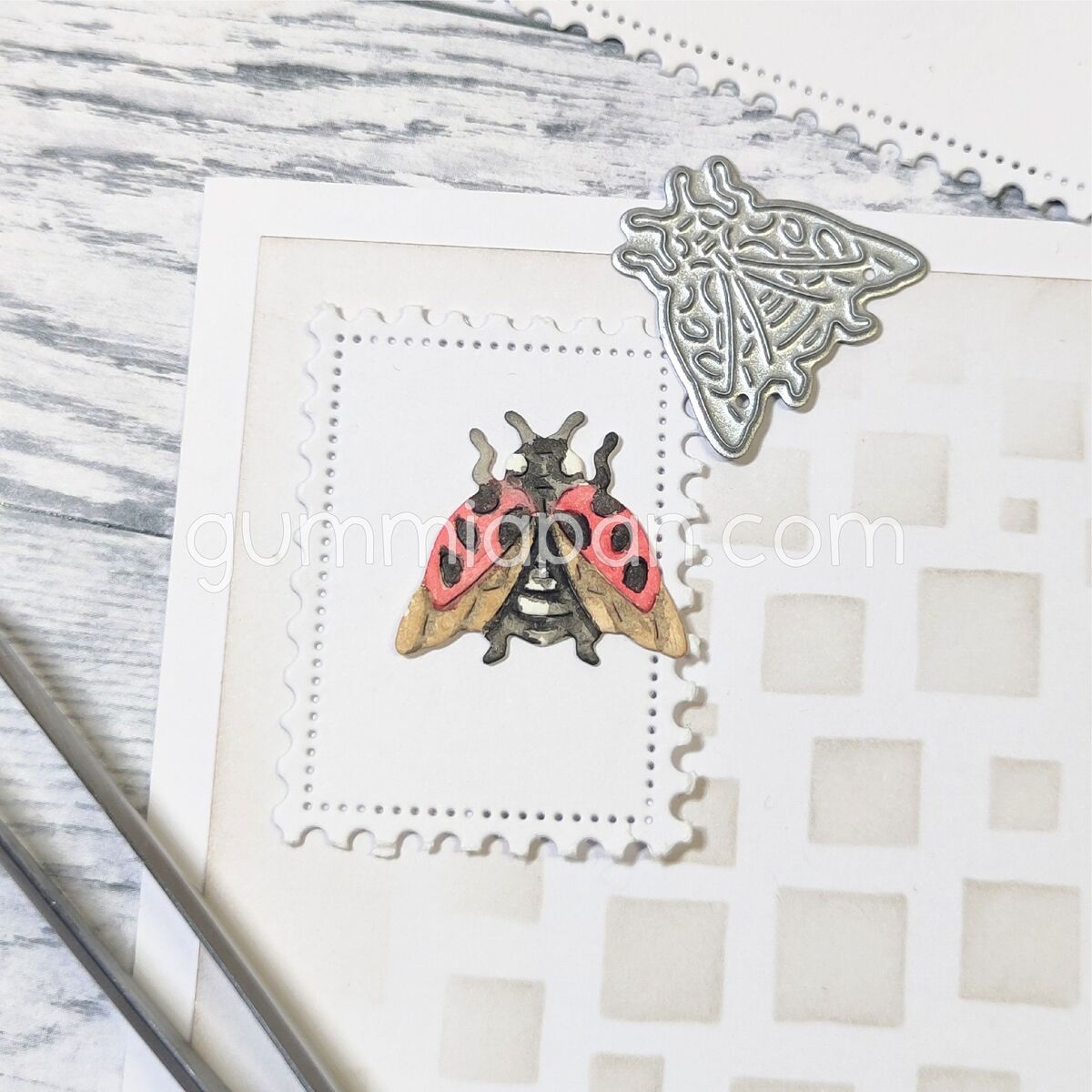 Stanze Lady Bug