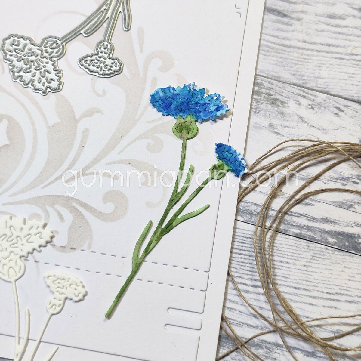 Stanze Cornflower