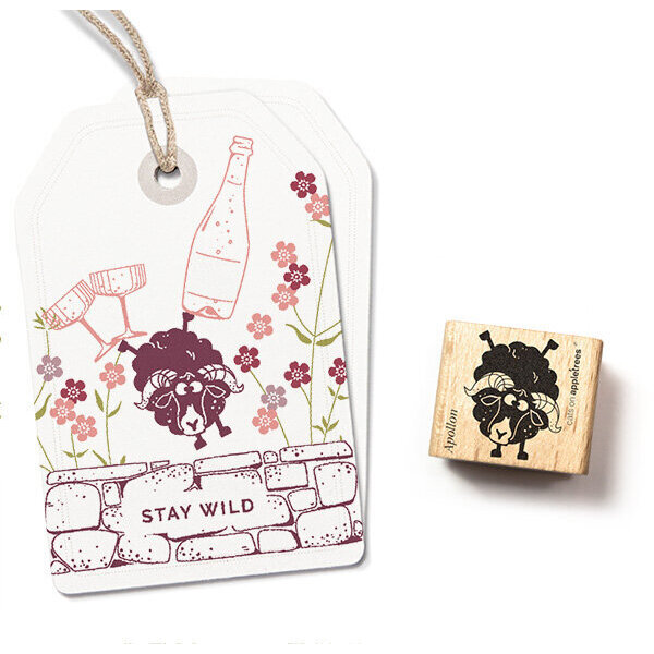 Quessant Schaf Apollon