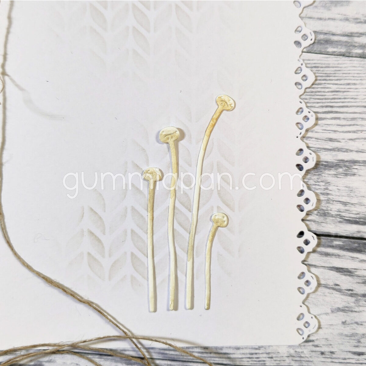 Stanze Enoki Mushroom