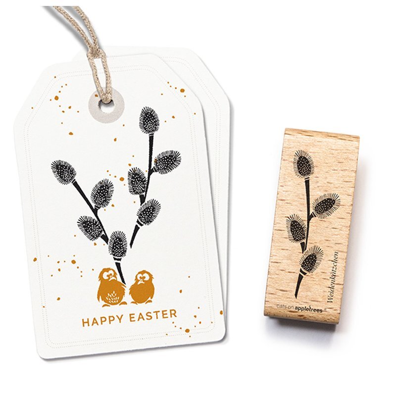 coasm-27407 coasm-27407_p1