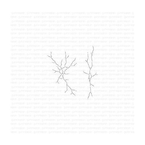 Stanze Crackle