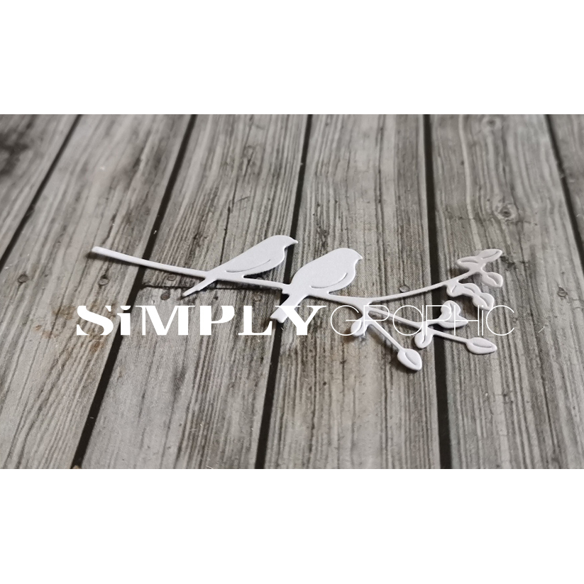 slywz-d432_p1