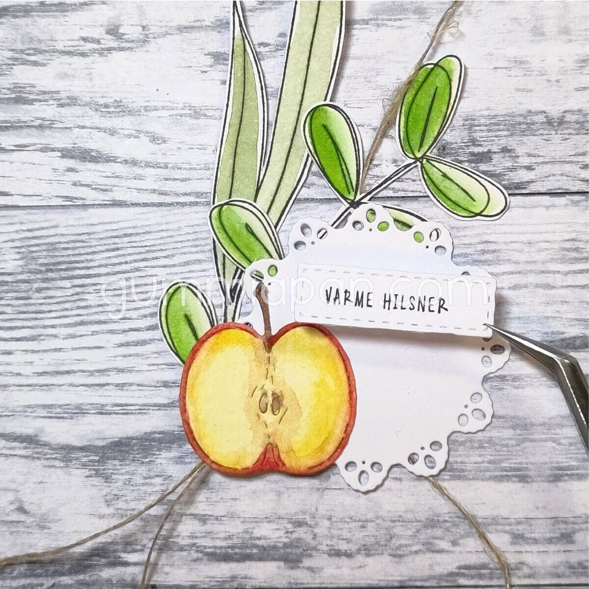 Stanze Sliced Apple