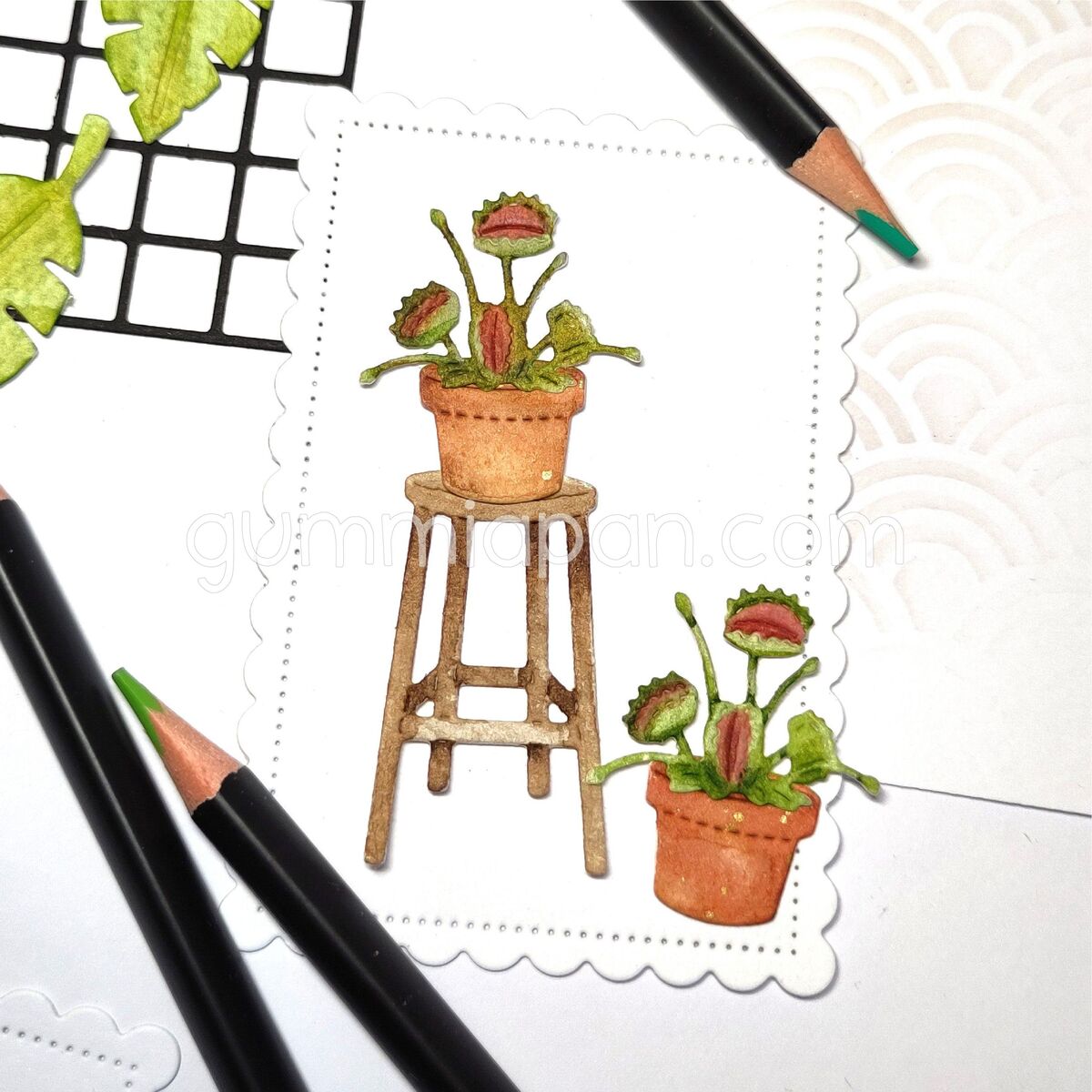 Stanze Venus Flytrap