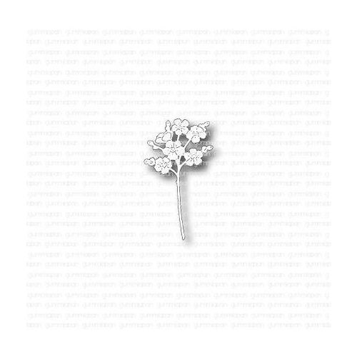 Stanze Forget me not