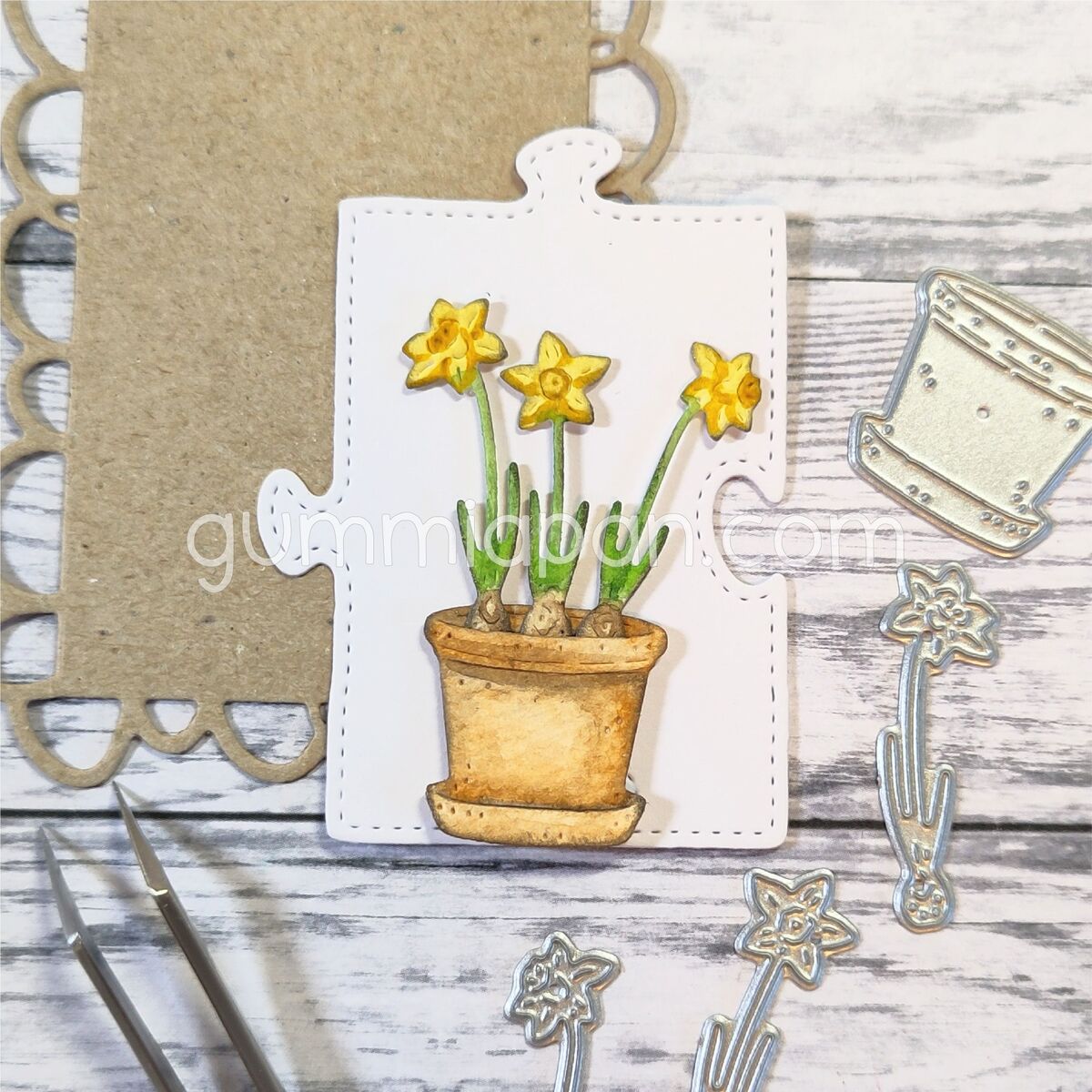 Stanze Daffodils in a Pot