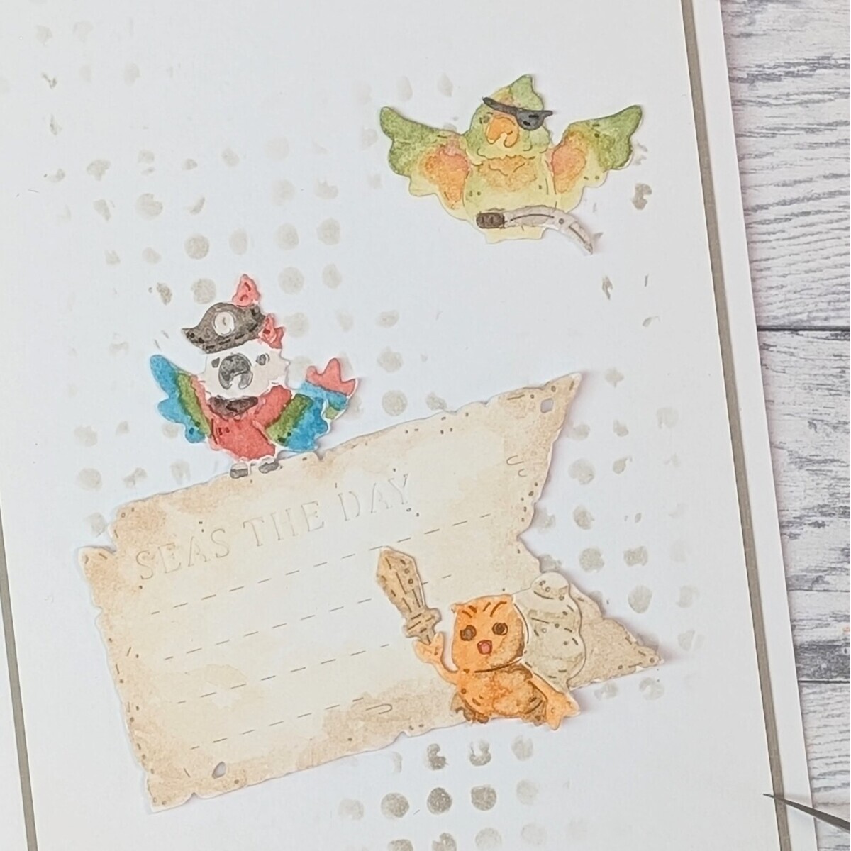 Stanze Pirate Animals