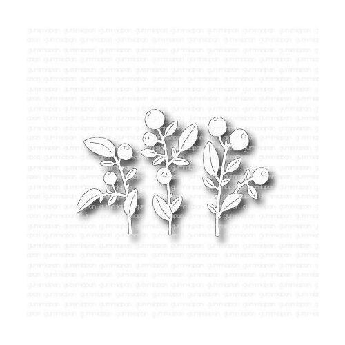 Stanze Blueberry Plants