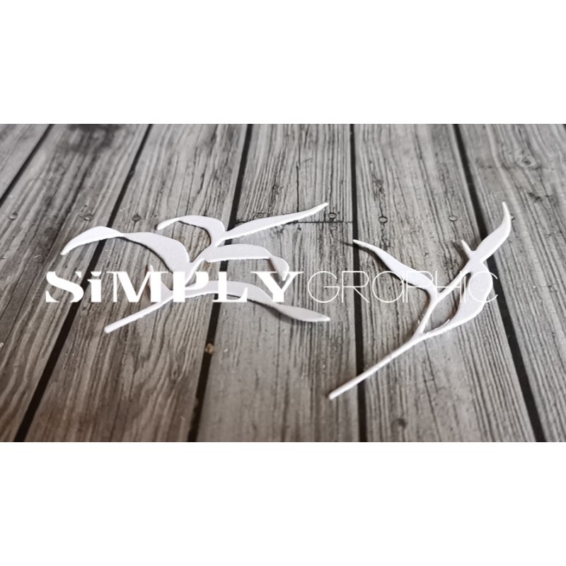 slywz-d486 slywz-d486_p1