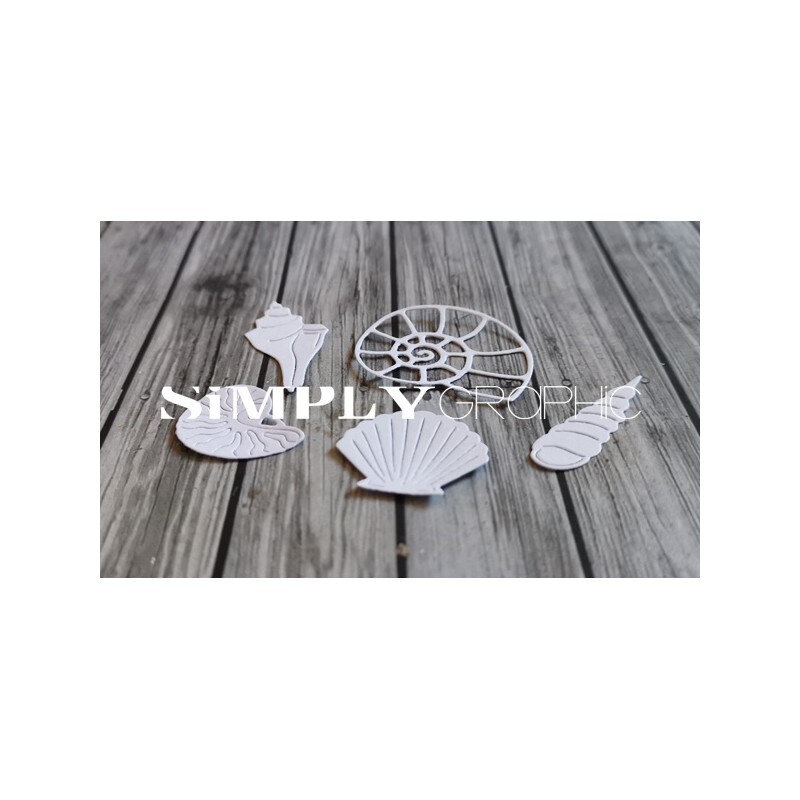 Stanze Coquillages