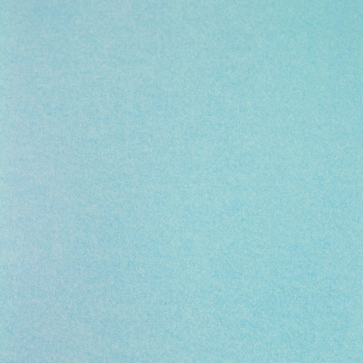 tonpa-9517_p2