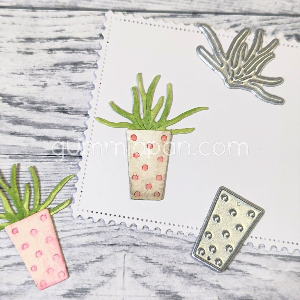 Stanze Plant with Pot