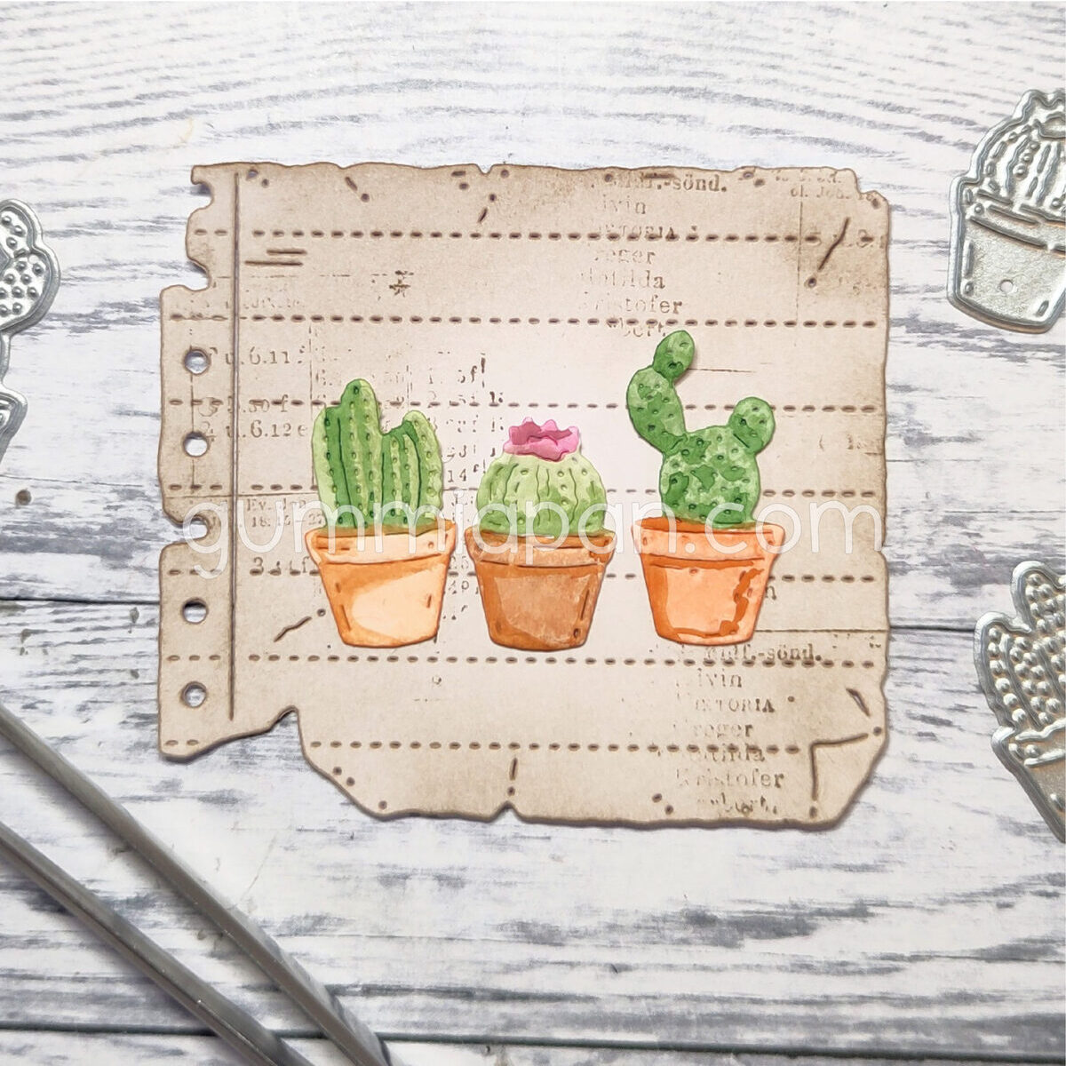Stanze Three Cacti