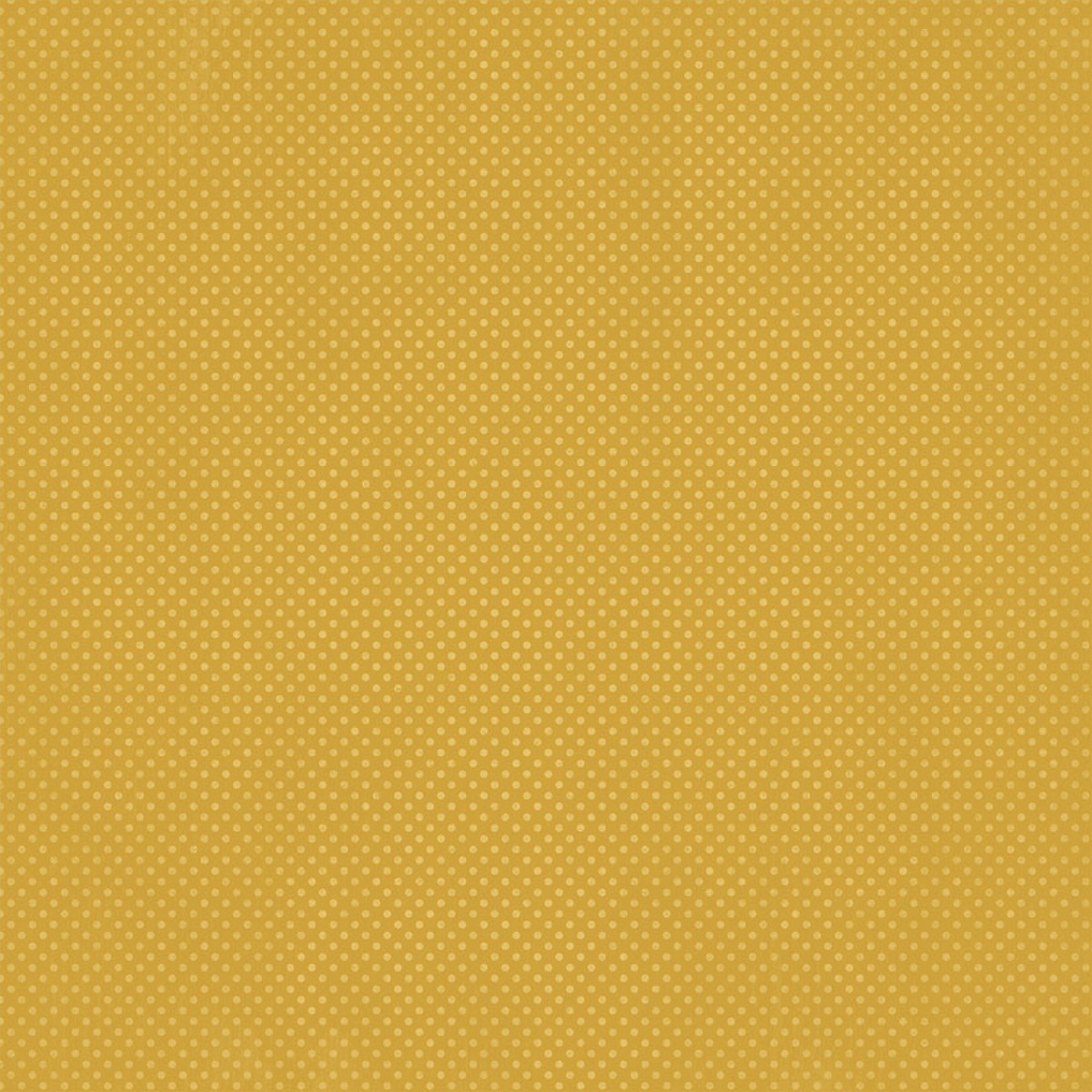 bobpa-12mzd087_p2