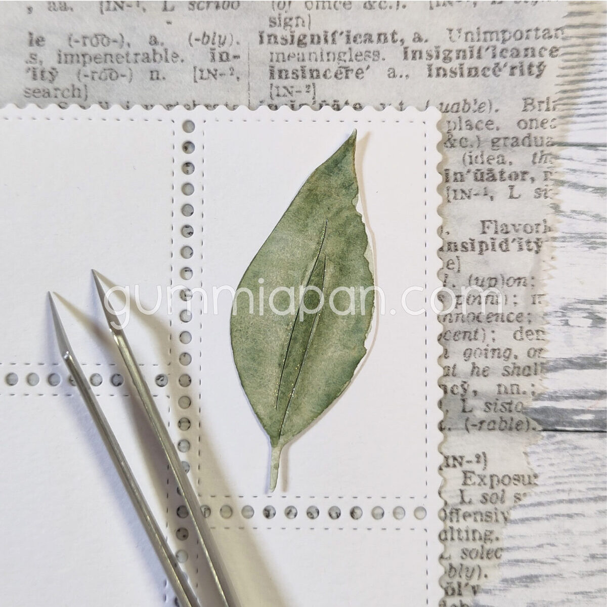 Stanze Hosta Leaf