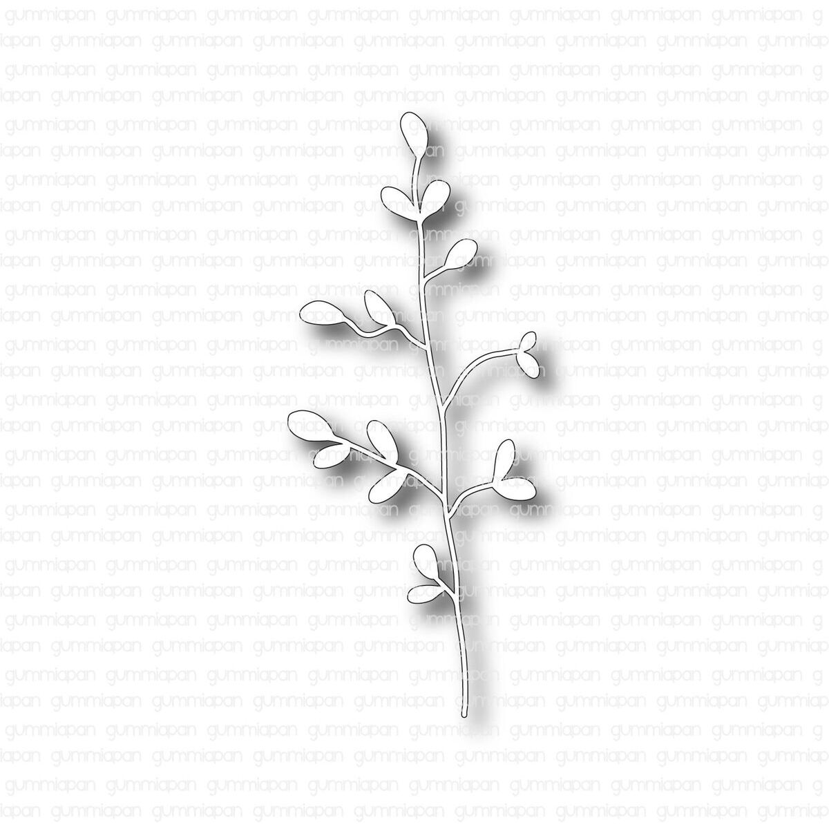Stanze Gracilis