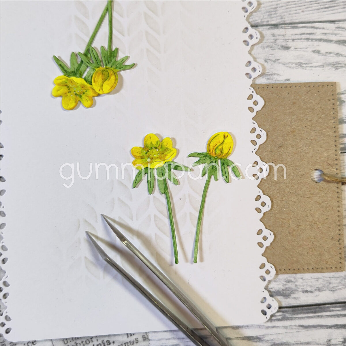 Stanze Winter Aconite