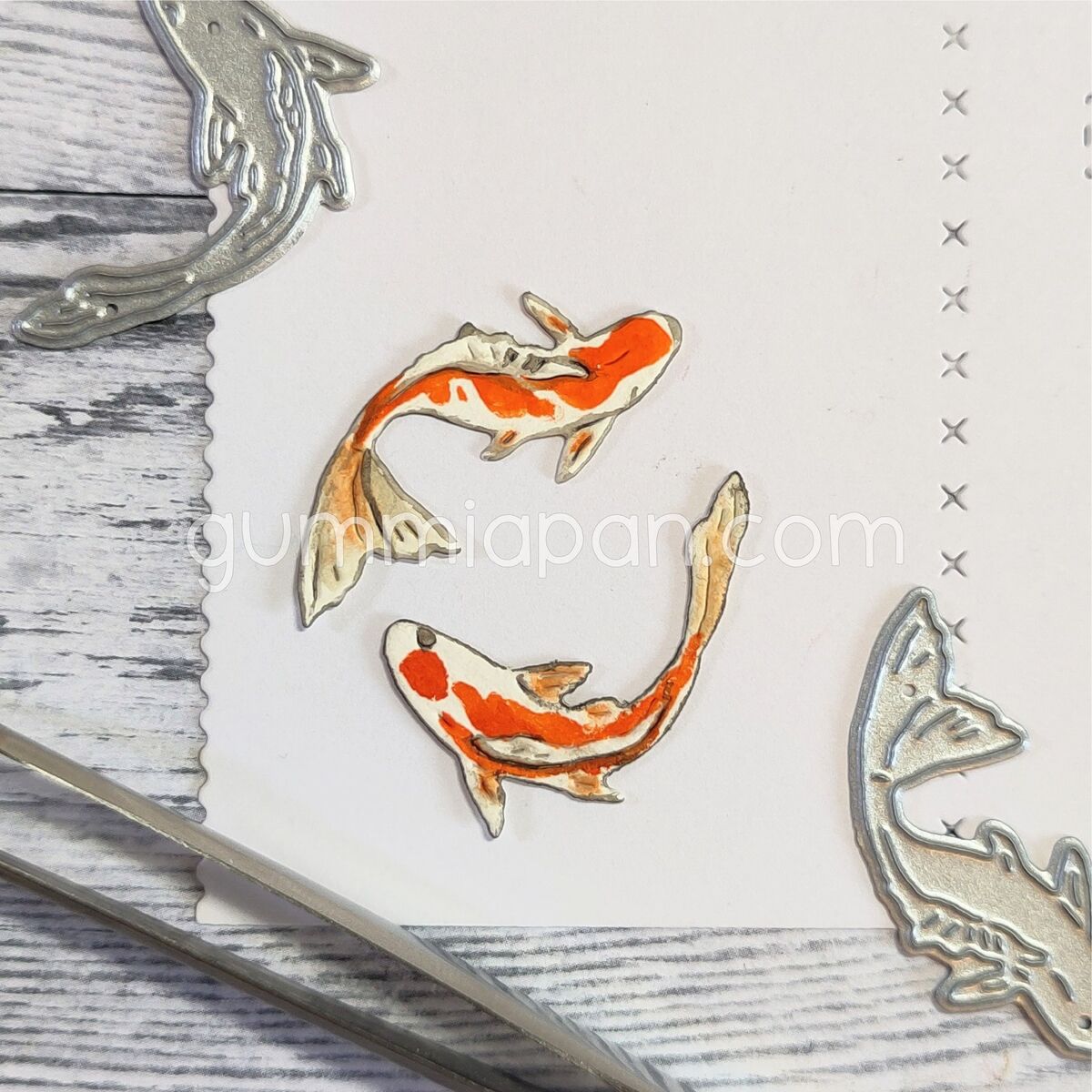 Stanze Koi Fish