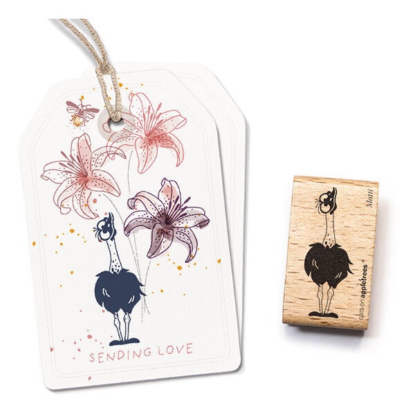 Vogel Strauß Matti Vogel Strauß Matti