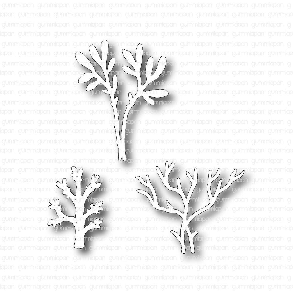 Stanze Corals