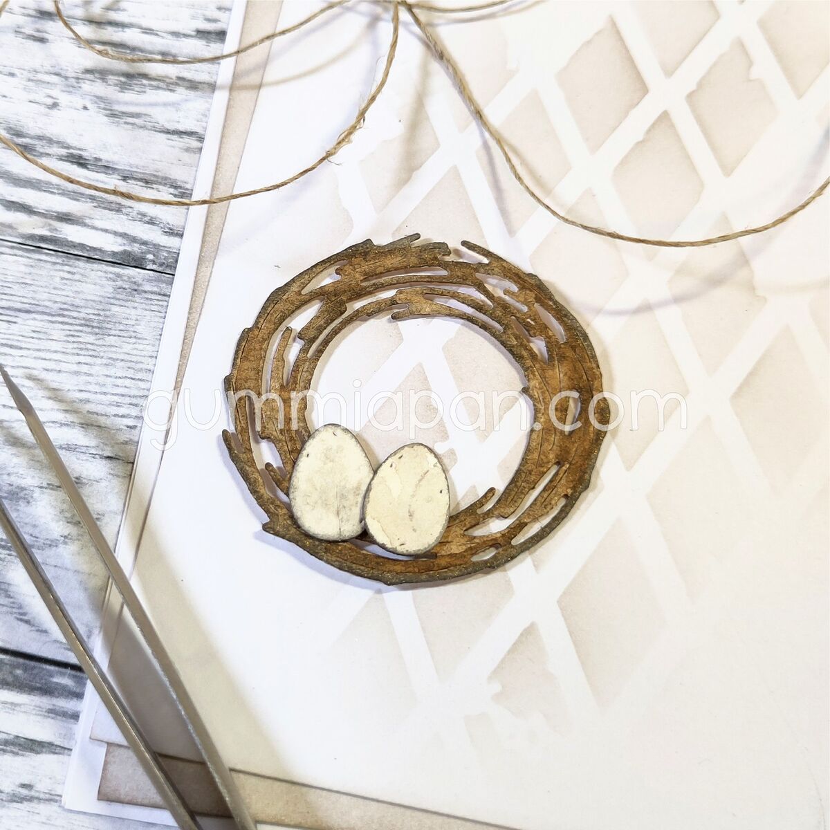 Stanze Nest with eggs