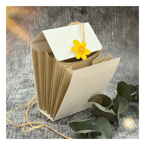 Stanze Lampionbox