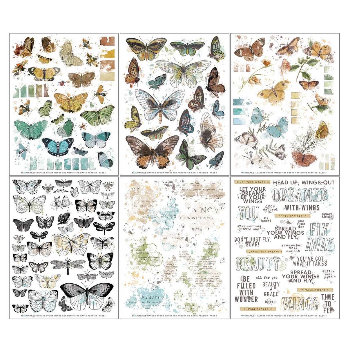 Nature Study Rub-Ons Wings