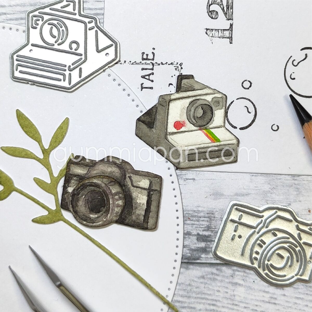 Stanze Cameras