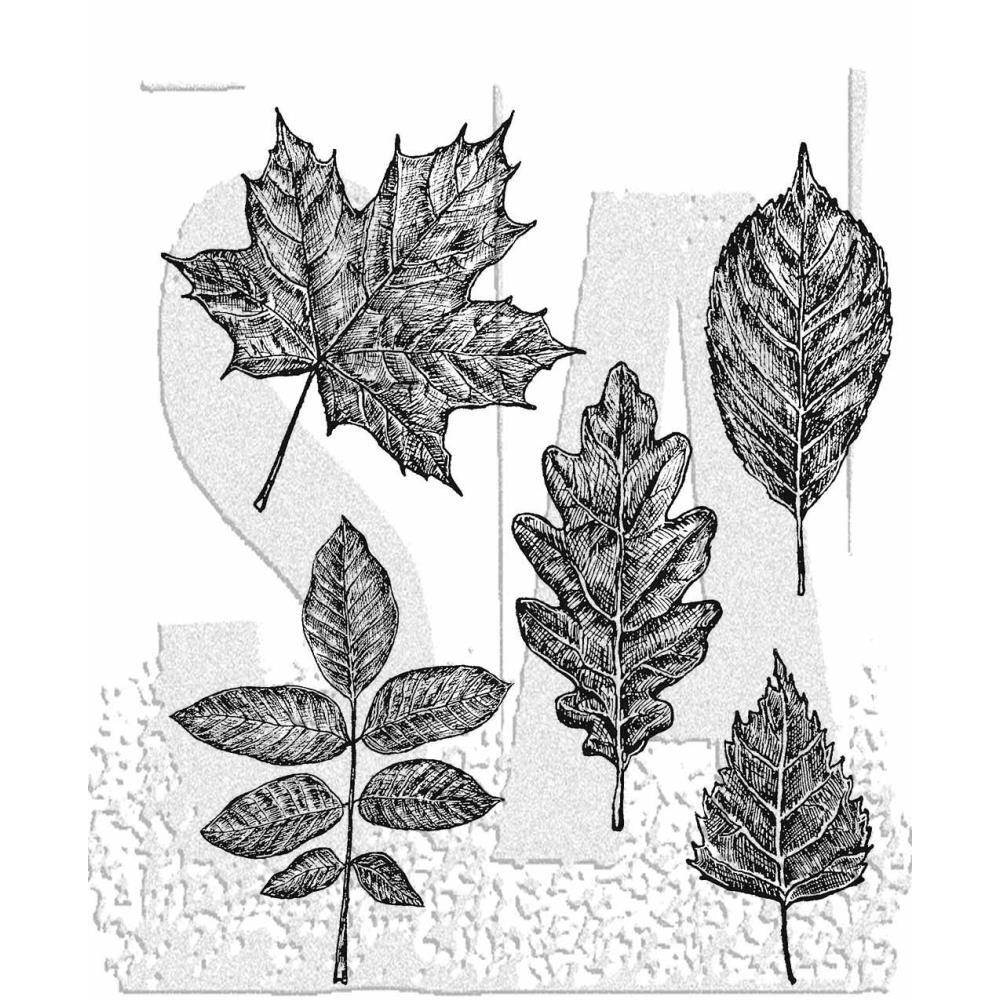 Stamp Set Sketchy Leaves